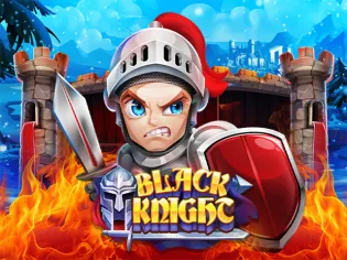 Black Knight game cover