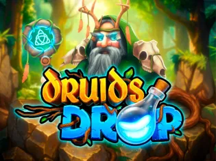 Druid's Drop game cover